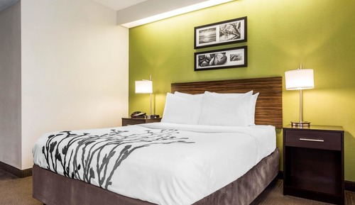Room, 1 Queen Bed, Accessible, Non Smoking