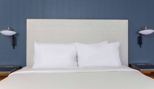 Room, 1 King Bed with Sofa bed