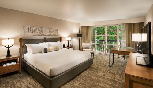 Room, 1 King Bed, Accessible (Shower)