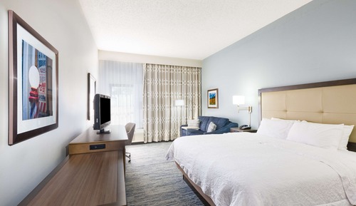 Room, 1 King Bed with Sofa bed, Refrigerator