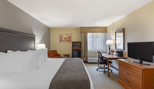 Standard Room, 1 King Bed, Accessible, Bathtub (Bathtub )