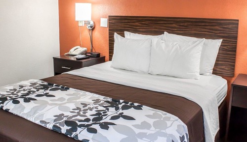 Standard Room, 1 Queen Bed