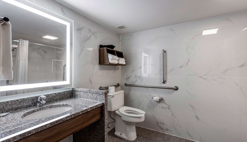 Standard Room, 1 King Bed, Accessible, Bathtub