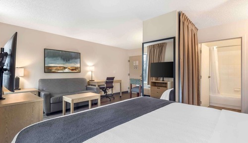 Deluxe Studio, 1 King Bed with Sofa bed, Non Smoking