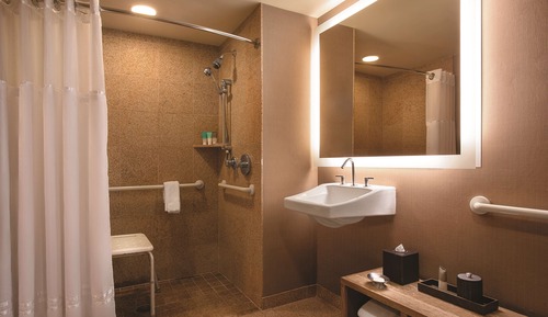 Room, 1 King Bed, Accessible (with Shower)