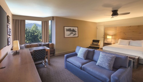 Room, 1 King Bed with Sofa bed