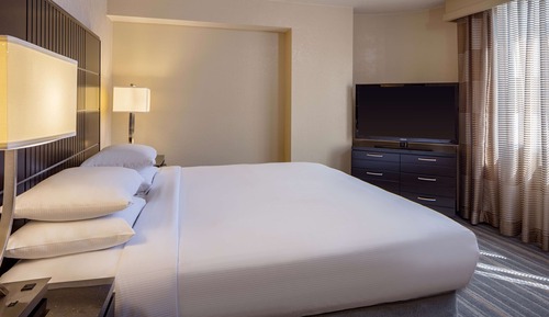 Suite, 1 King Bed with Sofa bed