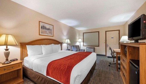 Standard Room, 1 King Bed, Non Smoking, Refrigerator & Microwave