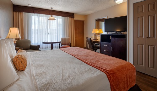 Standard Room, 1 King Bed, Non Smoking, Refrigerator & Microwave