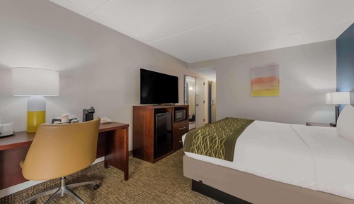 Room, 1 King Bed, Accessible, Non Smoking