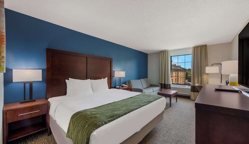 Classic Room, 1 King Bed with Sofa bed, Non Smoking