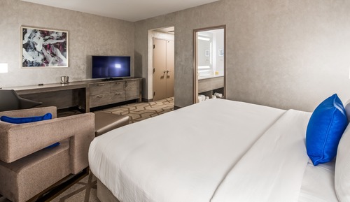 Room, 1 King Bed