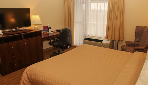 Standard Room, 1 King Bed, Non Smoking