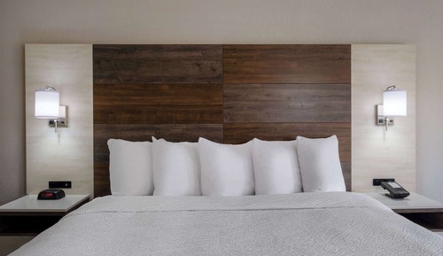 Room, 1 King Bed, Non Smoking