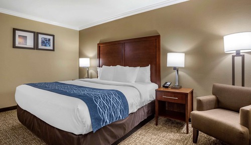 Deluxe Room, 1 King Bed, Non Smoking