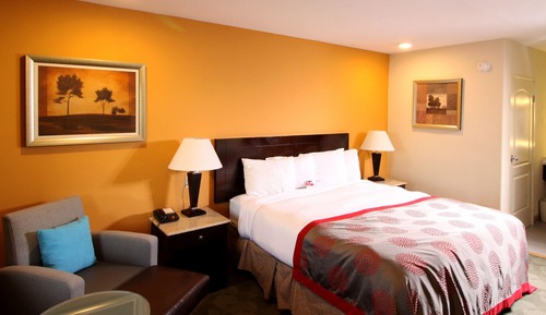 Standard Room, 1 King Bed