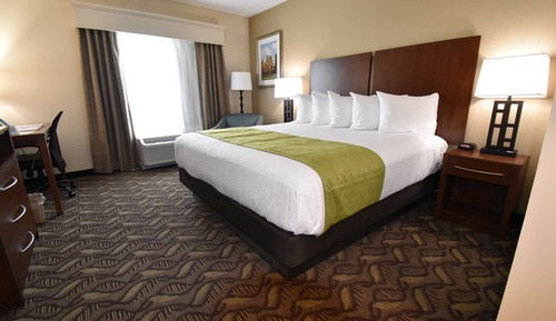 Standard Room, 1 King Bed, Non Smoking, Refrigerator & Microwave (Main Tower)