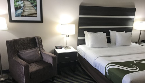 Standard Room, 1 King Bed, Non Smoking