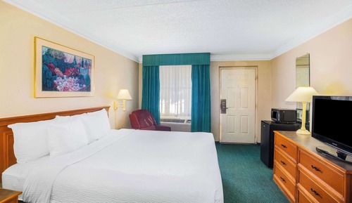 Room, 1 King Bed, Non Smoking