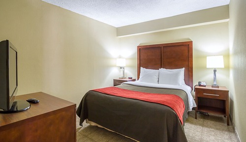 Standard Room, 1 Queen Bed, Non Smoking