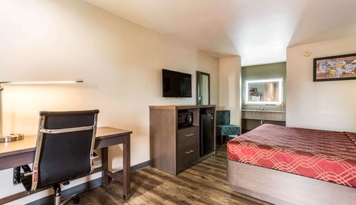 Room, Non Smoking (1 King bed with 1 Pull out couch)