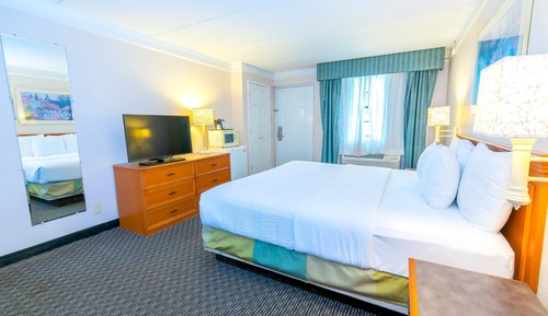 Room, 1 King Bed, Accessible, Non Smoking (Tub with Grab Bars)