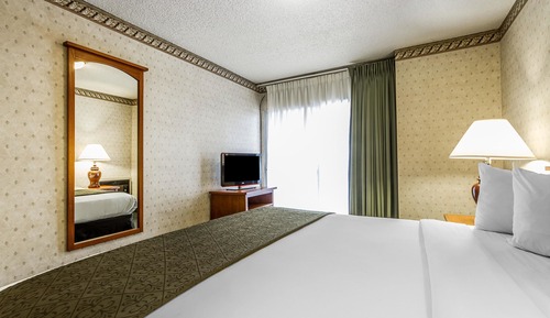Room, 1 King Bed, Accessible, Non Smoking