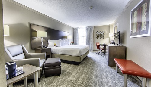 Standard Room, 1 King Bed, Multiple View