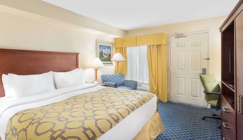 Room, 1 King Bed, Accessible, Non Smoking (Mobility)