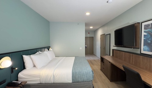 Room, 1 King Bed, Mobility Accessible, Non Smoking (Hearing, Roll-in Shower)
