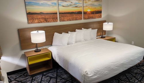 Standard Room, 1 King Bed, Non Smoking
