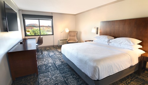 Deluxe Room, 1 King Bed, Non Smoking (Mobility/Hearing Accessible, Tub)