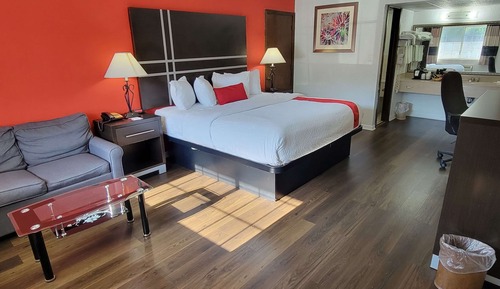 Room, 1 King Bed, Non Smoking (Pet Friendly)