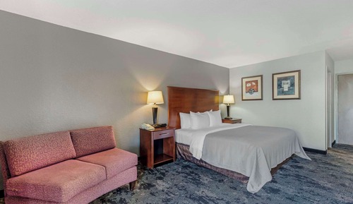 Standard Room, 1 King Bed, Non Smoking