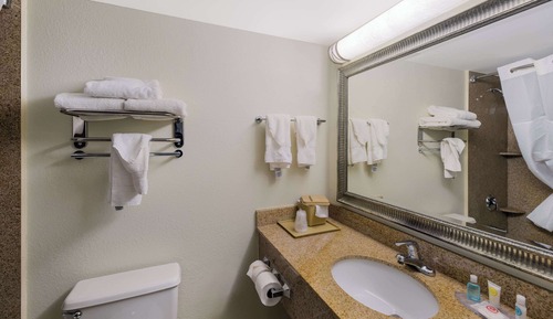 Suite, 1 King Bed with Sofa bed, Non Smoking