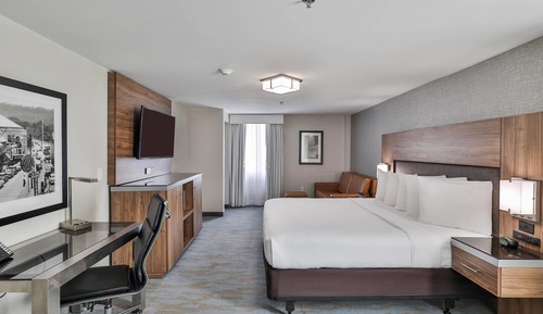 ADA Accessible, 1 King Bed Suite with Sofa Bed, Transfer Shower, City View