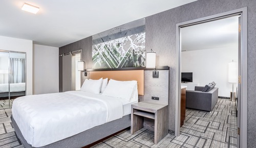 Suite, 1 King Bed (Top Floor)