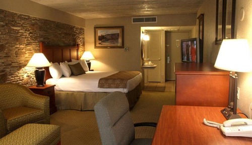 Basic Single Room