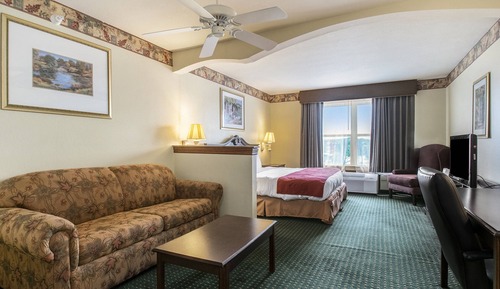 Studio Suite, 1 King Bed, Non Smoking