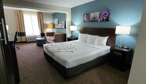 Suite, 1 King Bed with Sofa bed, Non Smoking