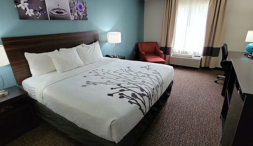 Standard Room, 1 King Bed, Non Smoking