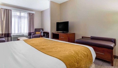 Suite, 1 King Bed with Sofa bed