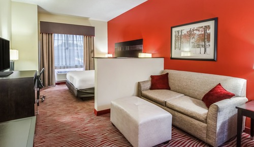 Standard Room, 1 King Bed with Sofa bed