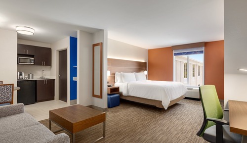 Suite, 1 King Bed with Sofa bed