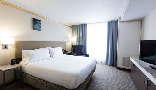 Room, 1 King Bed