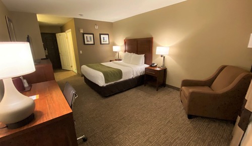 Room, 1 Queen Bed, Accessible, Non Smoking (Roll-In Shower)