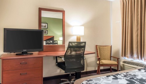 Room, 1 Queen Bed, Accessible, Non Smoking