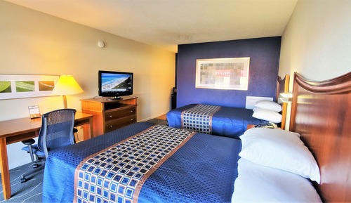 Studio Suite, 2 Double Beds, Kitchenette