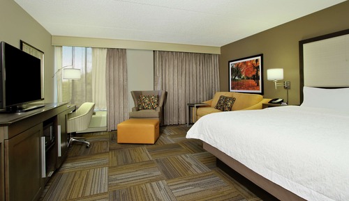 Deluxe Room, 1 King Bed