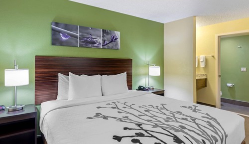 Standard Room, 1 King Bed, Non Smoking